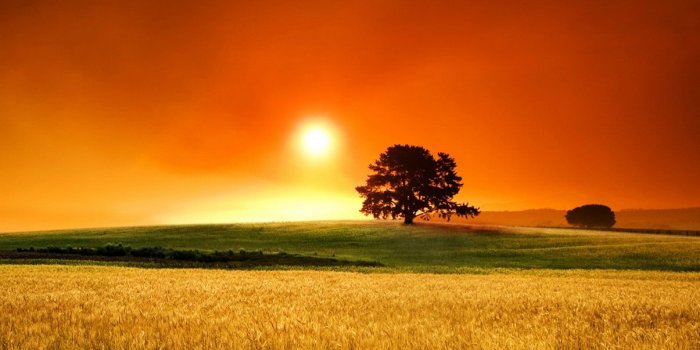 1205x879 beautiful country field | Country & Farm Style 2 | Scenery wallpaper