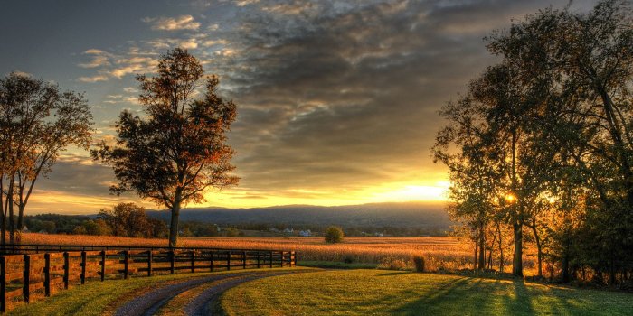 1920x1200 Amazing Country Sunset - Wallpaper - Faxo - Faxo