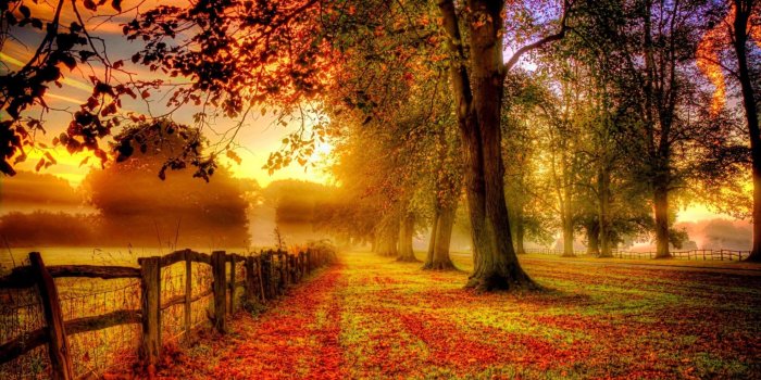 2880x1800 Beautiful Country Sunset Read Leaves Desktop Wallpaper