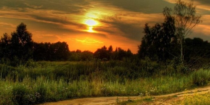 768x1024 Country Road At Sunset ❤ 4K HD Desktop Wallpaper for 4K Ultra HD TV