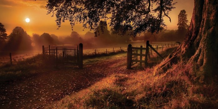 1920x1200 40+ Country Autumn Sunset Wallpapers - Download at WallpaperBro