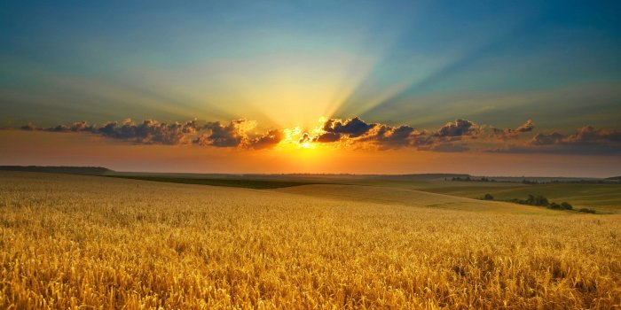 2560x1600 Beautiful Country Sunset wallpaper | 2560x1600 | #83668