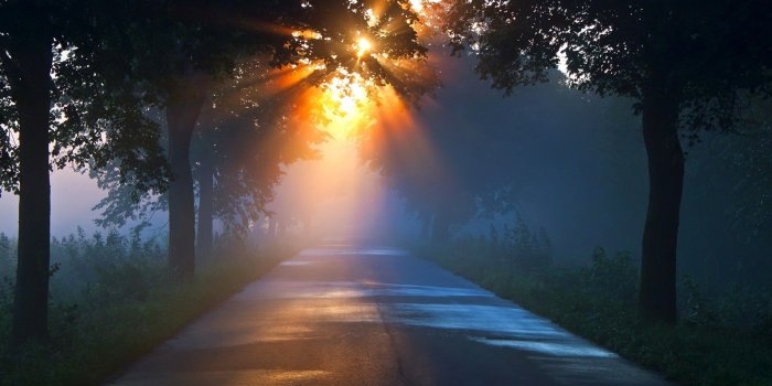 1920x1200 Sunsets: Mist Trees Morning Sunrise Country Sunbeams Road Sunset