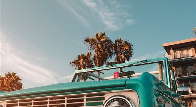640x1385 Venice the Menace iPhone X wallpaper | ❤Wallpapers in 2019 | Retro