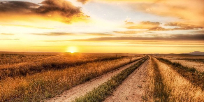 1805x1015 Country, Road, Sunset, Amazing Landscape, Organic, Plants, Download