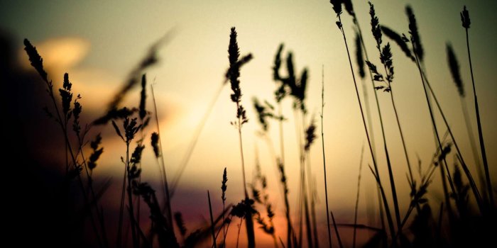 1920x1080 Country Sunset-wallpaper-16.jpg