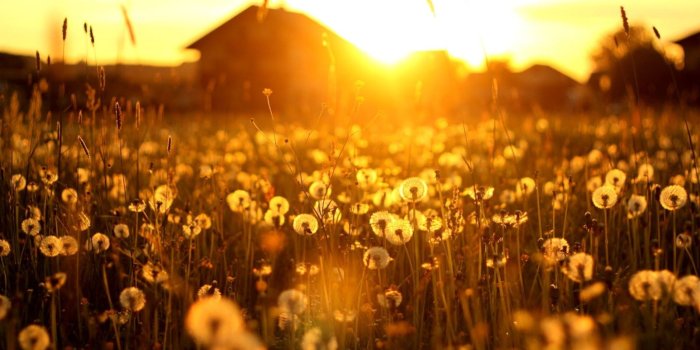 1600x1011 1600x1011 IY | Country Sunset, selected datsuncarsandparts.com