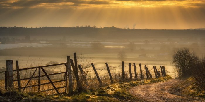 1920x1200 Country Music Wallpapers (74+ background pictures)