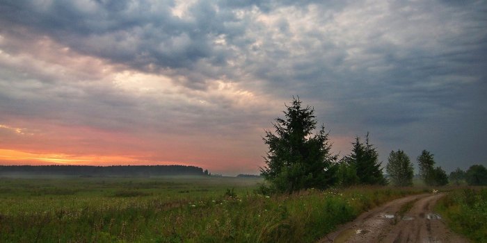 1444x807 Sunsets: Fields Trees Road Sunset Country Hd Iphone Wallpaper for HD