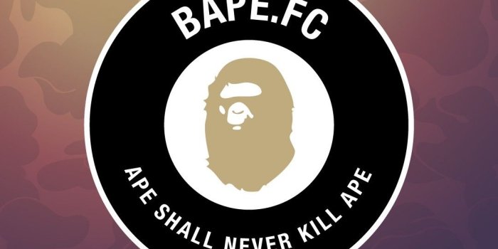 1081x1920 50+ Bathing Ape Wallpapers on WallpaperPlay