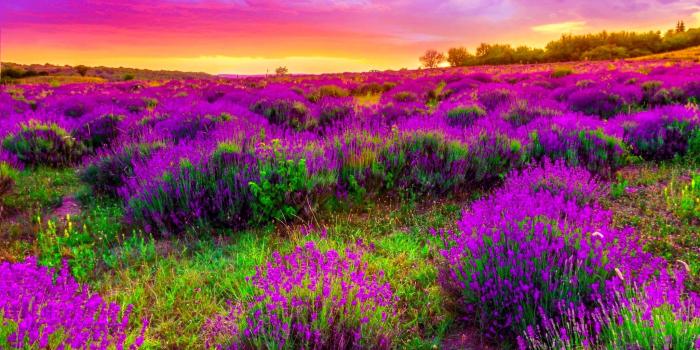 2048x1365 Spring Wallpapers HD download free