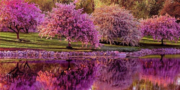 1920x1200 Spring Desktop Wallpapers - Top Free Spring Desktop Backgrounds