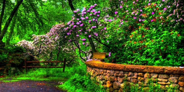 1920x1200 Spring Desktop Wallpaper HD free