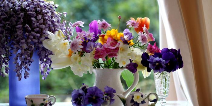 1920x1200 beautiful spring still-life by stock photo - Desktop Wallpaper