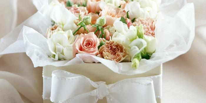 1280x1024 White Flowers Hd 35 Free Hd Wallpaper - HdFlowerWallpaper.com