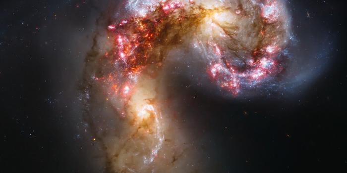 2524x2524 Psiu Puxa Wallpapers