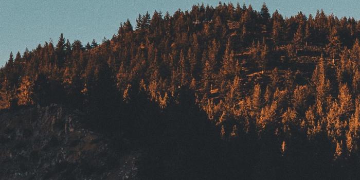 1440x2560 Download wallpaper 1440x2560 tahoe, california, road, mountains qhd