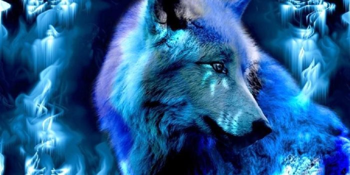 1125x843 Ice Wolf Wallpapers