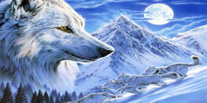 1920x1200 68+ Ice Wolf Wallpapers on WallpaperPlay