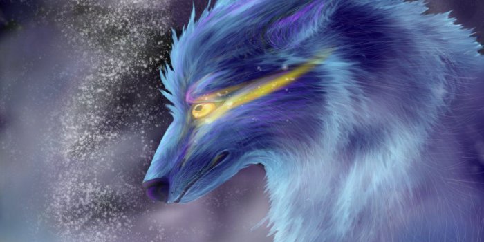 1032x774 Ice Wolf Wallpapers