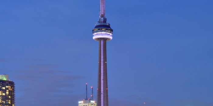 2848x4288 Mobile HD Wallpapers