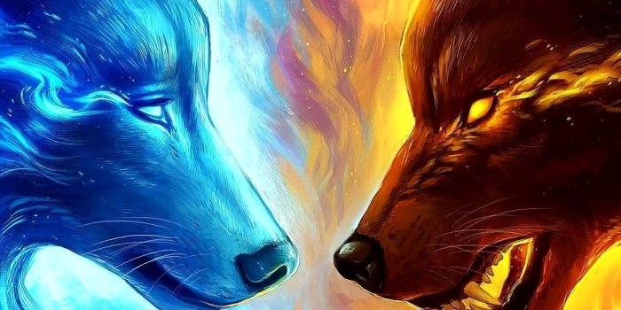1080x1920 Fire and Ice Wolf Wallpapers - Top Free Fire and Ice Wolf
