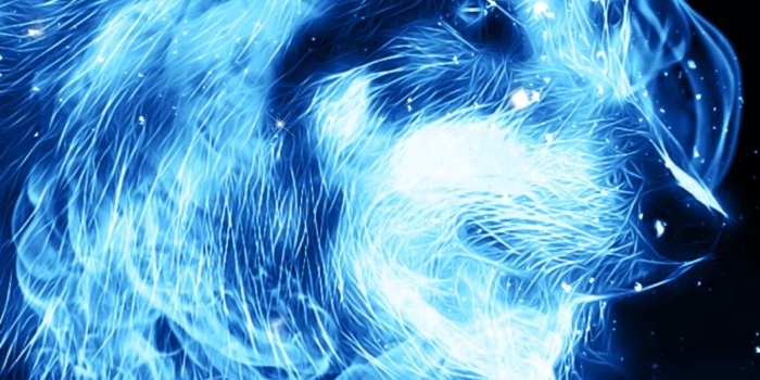 1440x2560 Ice Fire Wolf Wallpaper for Android - APK Download