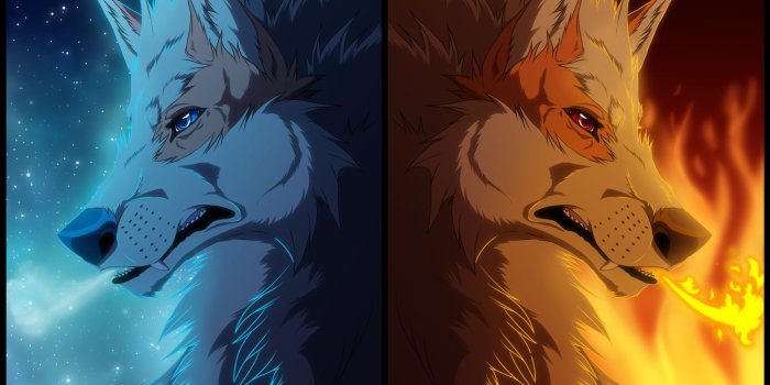 1998x1333 Fire and Ice Wolf Wallpaper (66+ images)