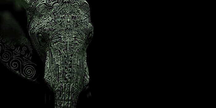 2560x1600 Tribal Elephant Wallpaper (59+ images)