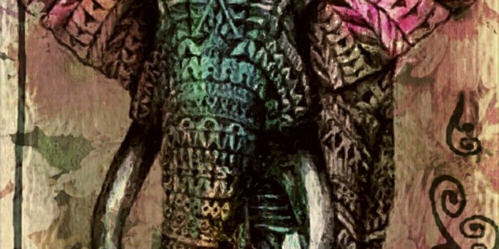 1080x1920 Tribal Elephant … | mandala in 2019 | Tribal elephant, Elephant