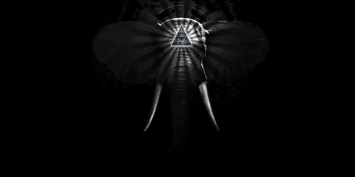 1920x1200 60+ Tribal Elephant Wallpapers on WallpaperPlay