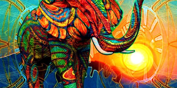 1920x1200 55+ Colorful Elephant Wallpapers - Download at WallpaperBro