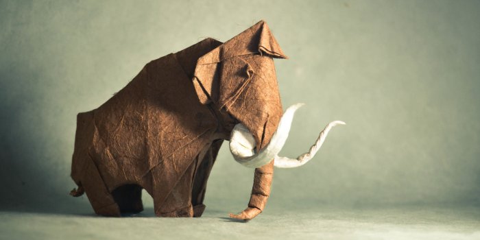 3840x2160 50+ Elephant Art Wallpapers - Download at WallpaperBro