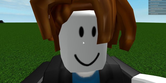 1600x900 Meme Generator Image Preview - Roblox Bacon Hair Noob Gif, Hd