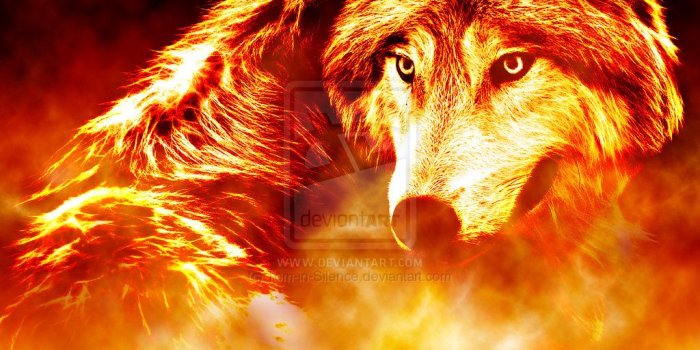 1024x1024 47+] Fire and Ice Wolf Wallpaper on WallpaperSafari