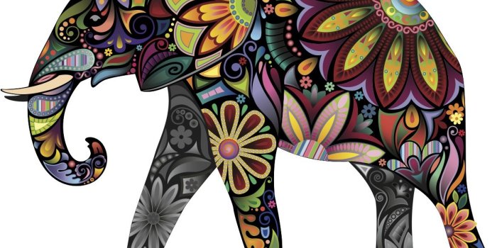 1168x812 Download Beautiful Elephants Photo 8 BestePics [1168x812] | 47+