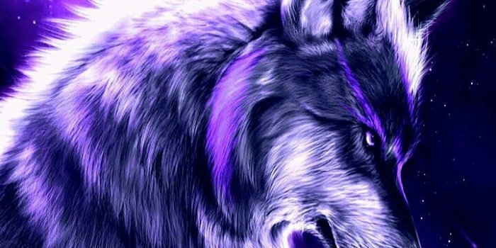 720x1280 FIRE ICE on Background ( Phone) | Wolf wallpaper, Wolf