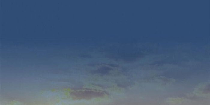 1080x1920 Elephant iPhone Wallpaper (74+ images)