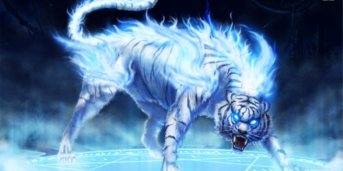 1920x1080 68+ Ice Wolf Wallpapers on WallpaperPlay