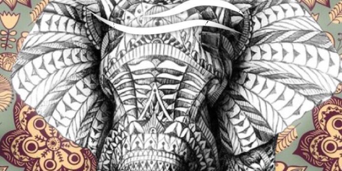 750x1334 Hipster Elephant Wallpapers - Top Free Hipster Elephant Backgrounds