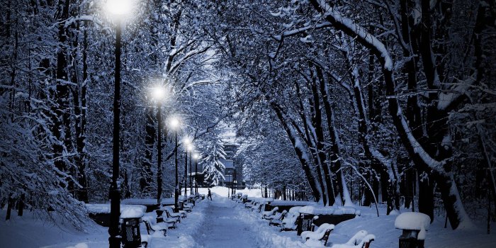 2560x1600 Winter Night Wallpapers