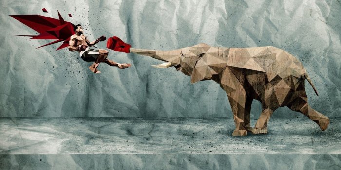 1920x1200 Elephant Wallpapers (66+ background pictures)