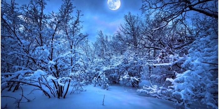 2732x1714 WINTER NIGHTS FULL MOON HD WALLPAPER | Wallpapers | Winter night