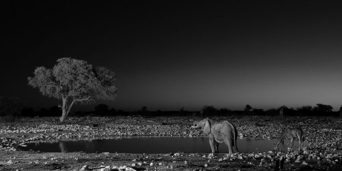 1920x1080 Aztec iPhone Wallpaper ·① WallpaperTag