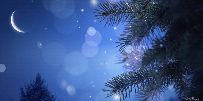 1920x1080 The Moon Winter Night Wallpaper Download HD Background Images