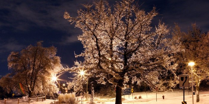 1920x1200 Winter night HD Wallpaper