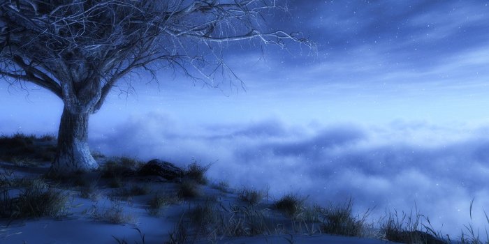 1920x1080 Winter night wallpaper - Digital Art wallpapers - #35275