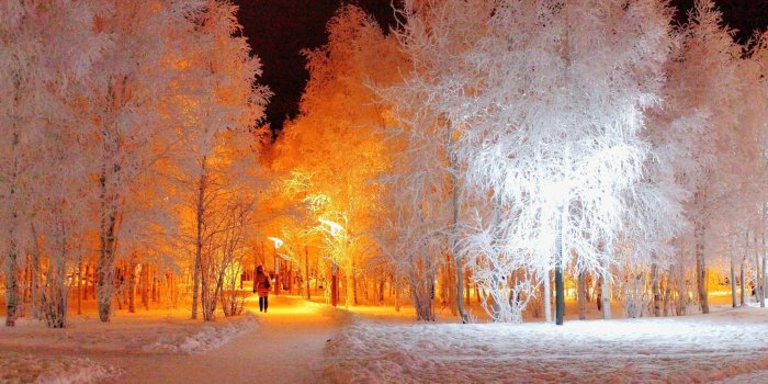 2560x1600 Winter Night Lighting Wallpapers - 2560x1600 - 1613183