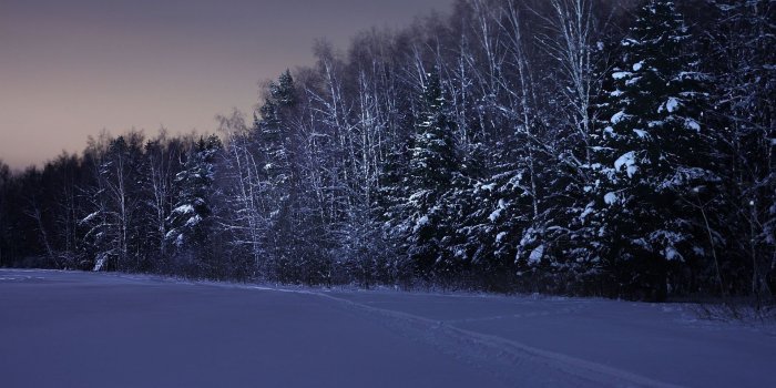 1920x1200 Download wallpaper 1920x1200 field, trees, snow, winter, night hd