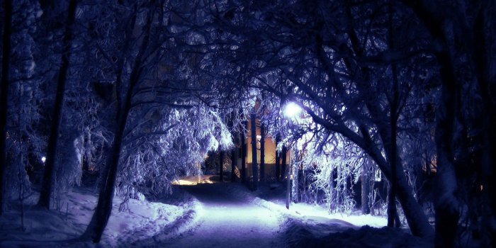 2560x1600 Winter Evening HD Wallpapers - THIS Wallpaper